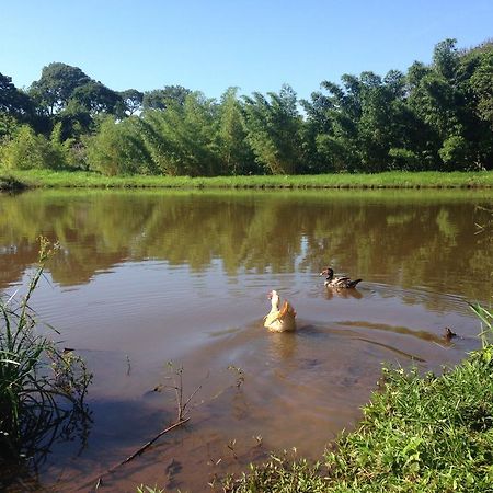 Aguas Vivas Hotel Fazenda Pirenopolis Ngoại thất bức ảnh