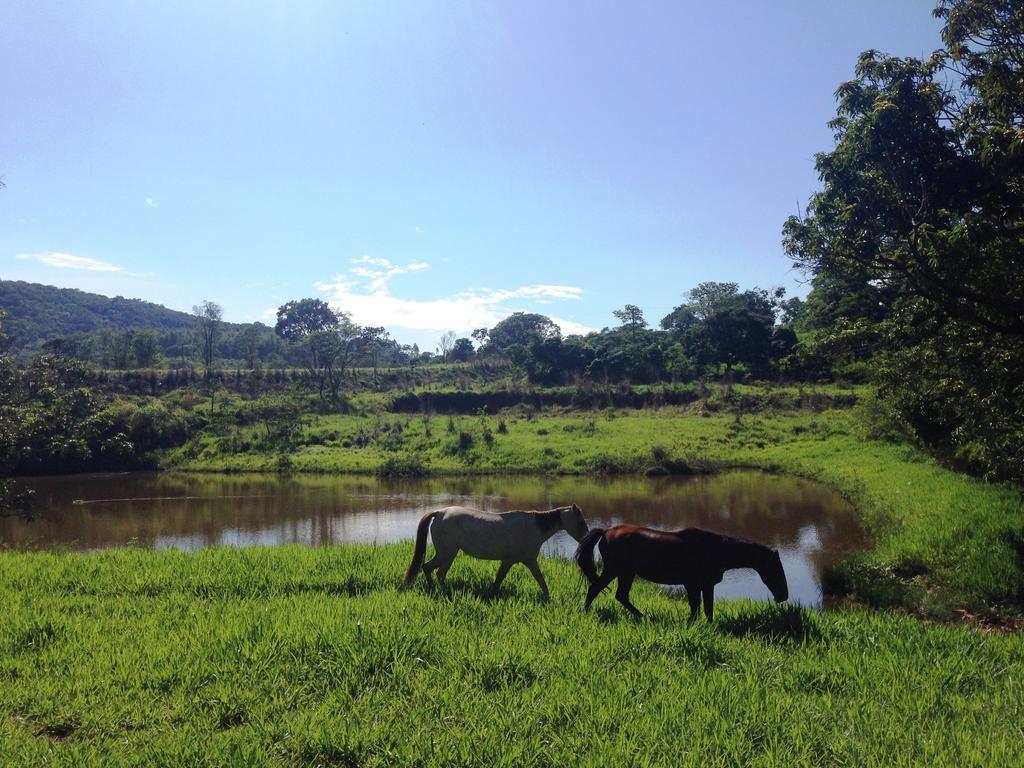 Aguas Vivas Hotel Fazenda Pirenopolis Ngoại thất bức ảnh