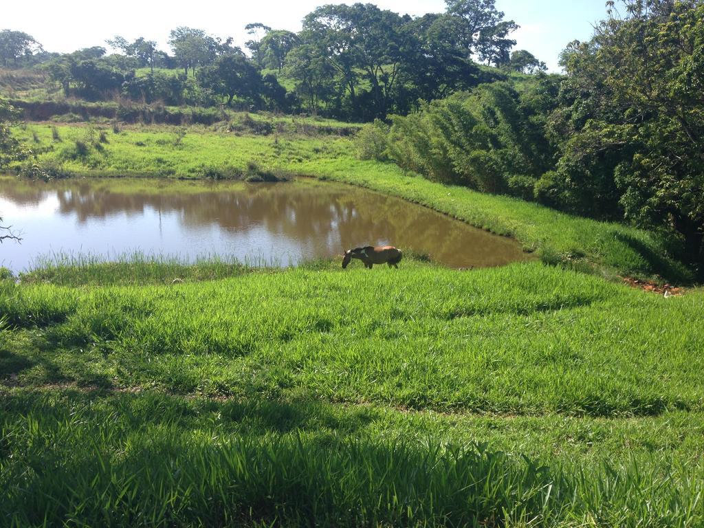 Aguas Vivas Hotel Fazenda Pirenopolis Ngoại thất bức ảnh