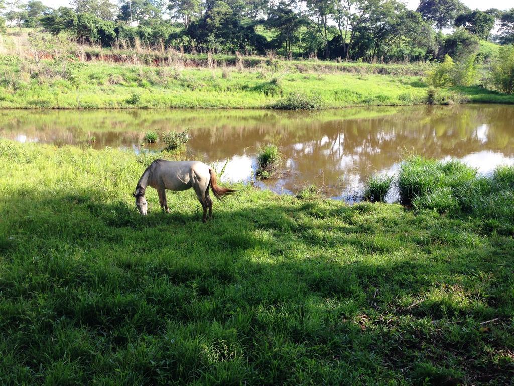 Aguas Vivas Hotel Fazenda Pirenopolis Ngoại thất bức ảnh