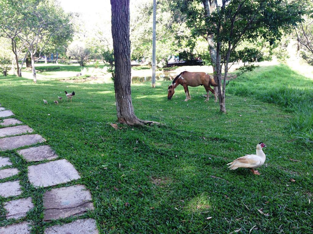 Aguas Vivas Hotel Fazenda Pirenopolis Ngoại thất bức ảnh