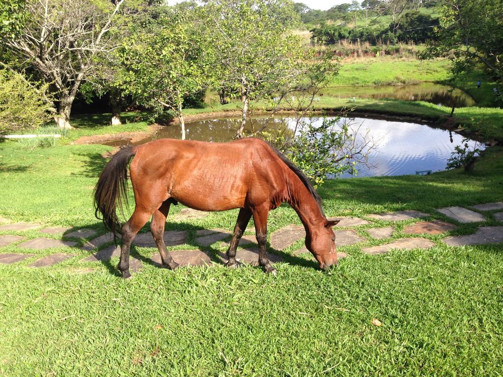 Aguas Vivas Hotel Fazenda Pirenopolis Ngoại thất bức ảnh