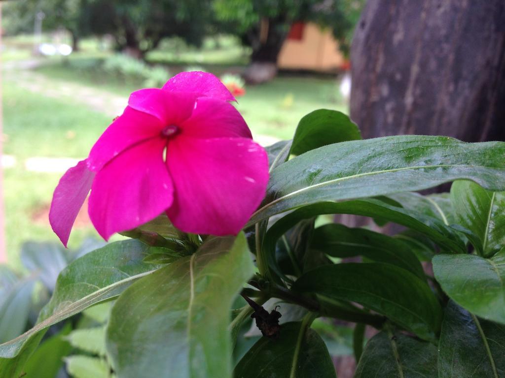Aguas Vivas Hotel Fazenda Pirenopolis Ngoại thất bức ảnh